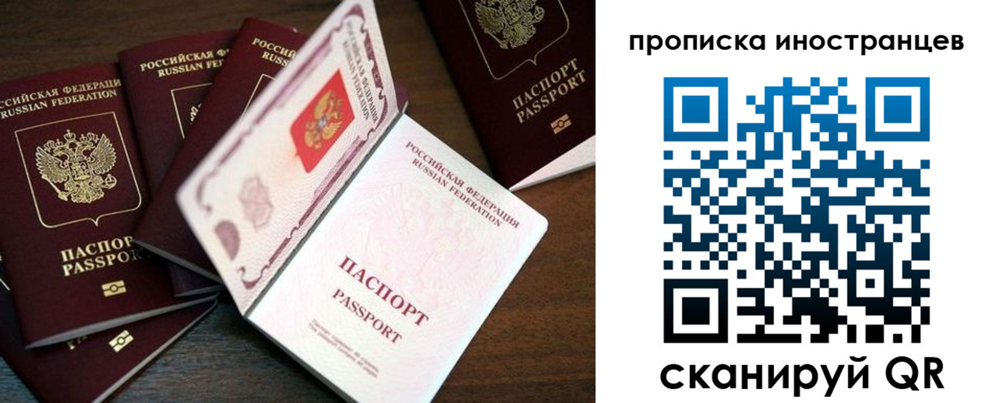 временная регистрация гарантия в Дрезне